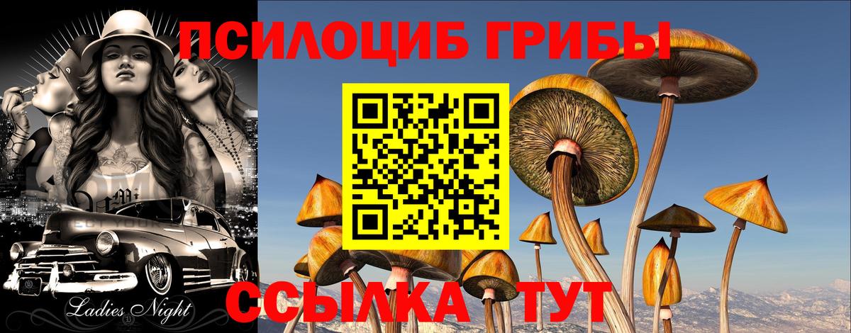 Галлюциногенные грибы мицелий Сунжа