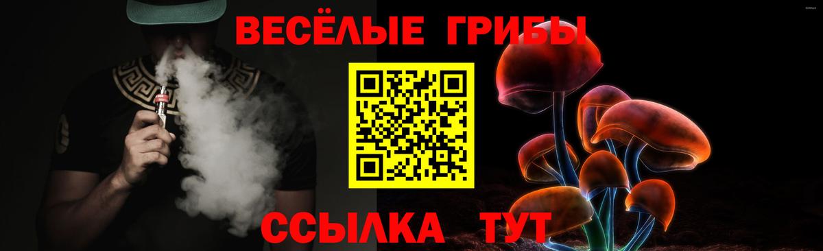 Галлюциногенные грибы Psilocybine cubensis  Вход с VPN  Сунжа  Псилоцибиновые грибы ЛСД 